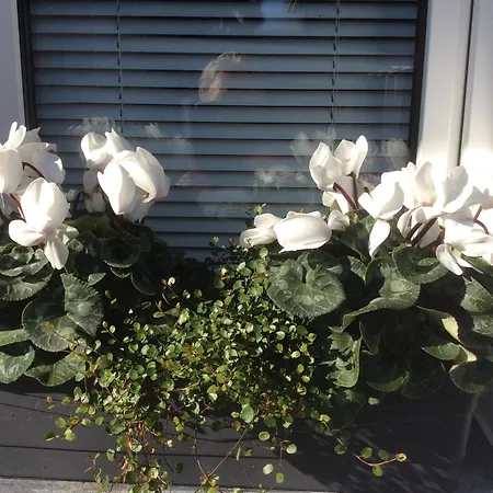 Messewohnung Duesseldorf-nord Appartement *