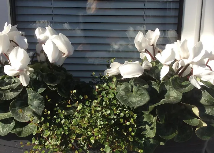 Messewohnung Duesseldorf-nord Апартаменты *